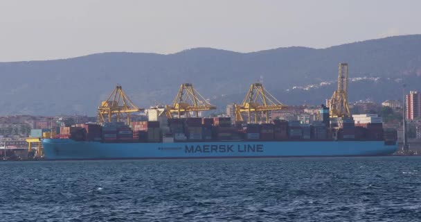 トリエステ イタリア 2019年6月17日 イタリア トリエステのポートに貨物コンテナ船Maersk Lineをロード — ストック動画