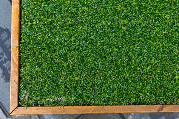 Artificial Grass Frame — Stock Photo, Image