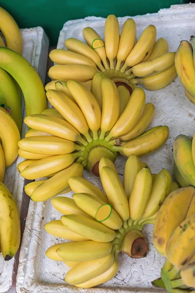 Frutas del plátano — Foto de Stock