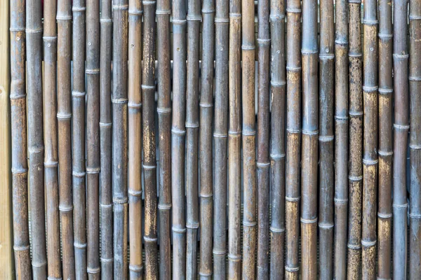 Bambu Arkaplanı — Stok fotoğraf