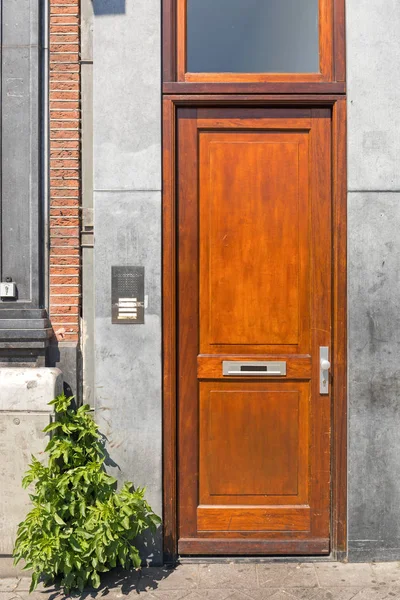 Вузькі дерев'яні двері — стокове фото