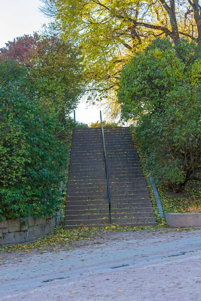 公園の階段 — ストック写真