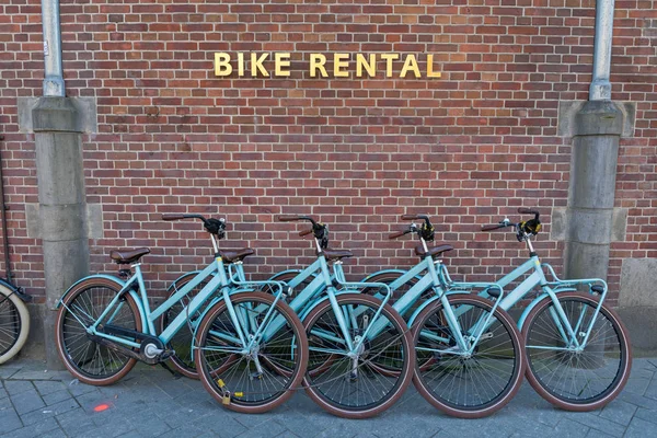 Bike Rental — Stock Photo, Image