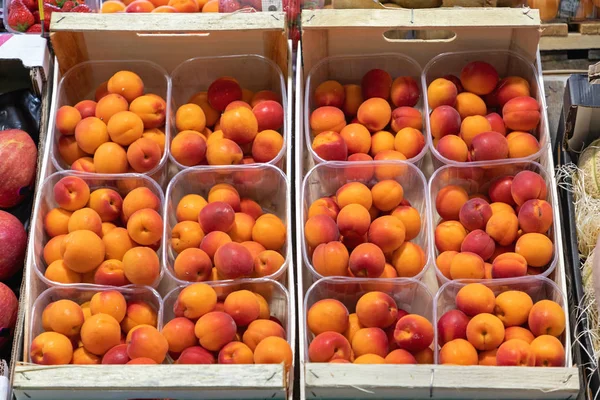 Fresh Apricots in Trays — Stock Photo, Image