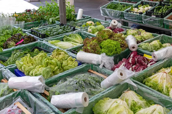 Salatmarkt — Stockfoto