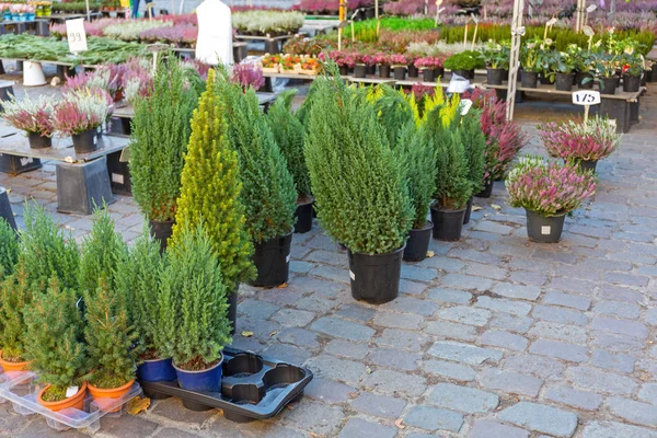 Garden Center — Stock Photo, Image