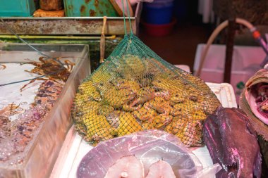 Çantadaki Kurbağalar