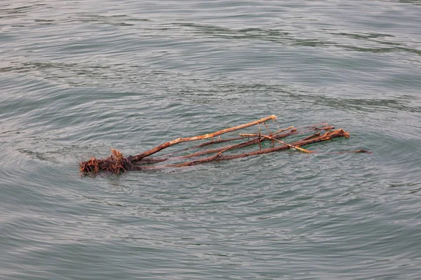 Legno alla deriva nel lago — Foto Stock