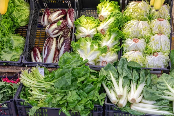 Markt für frische Salate — Stockfoto
