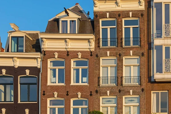 Amsterdam Windows — Stockfoto