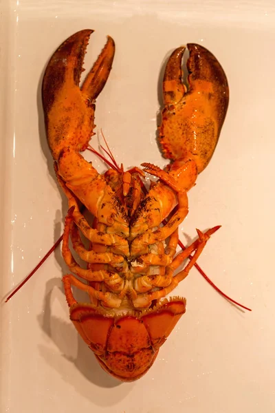 Côté inférieur du homard — Photo