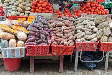 Patates Çeşitliliği