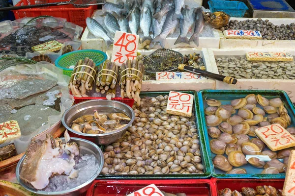 Moluscos frutos do mar — Fotografia de Stock