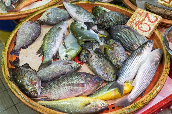 Fish in Basket — Stock Photo, Image