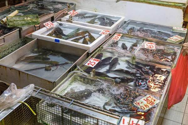 Αγορά ζωντανών ψαριών — Φωτογραφία Αρχείου