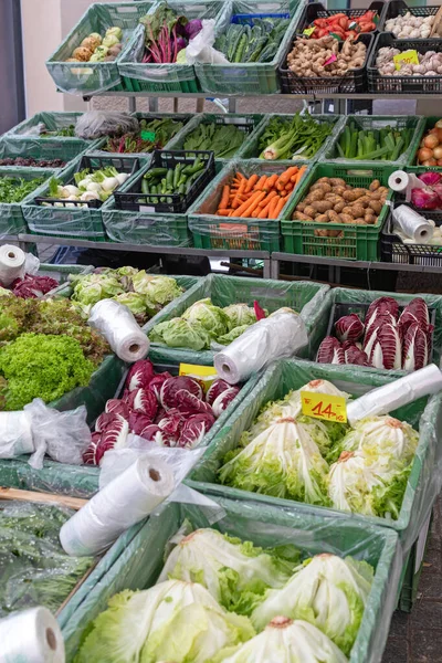 Verduras folhosas — Fotografia de Stock