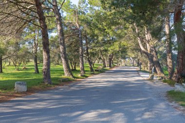 Sığınma yolu Saint Remy