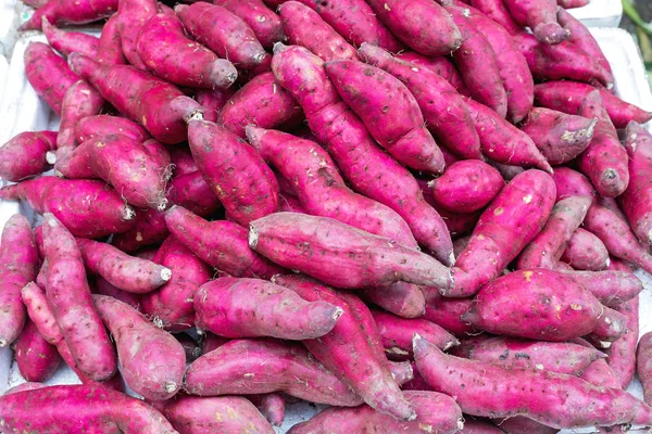 Růžové sladké brambory — Stock fotografie