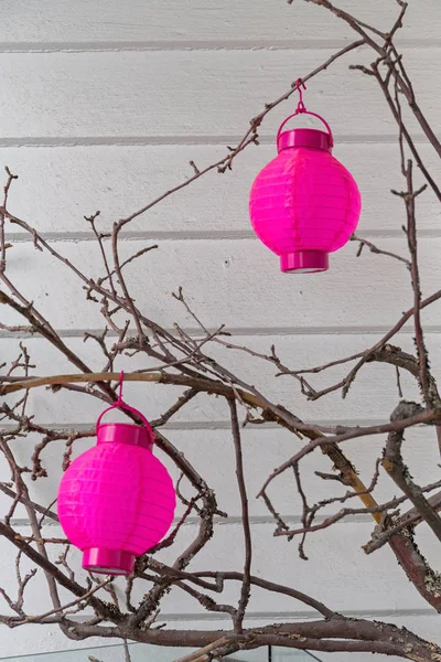 Roze papieren lantaarns — Stockfoto