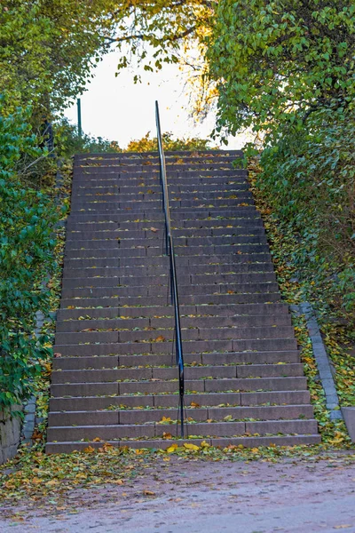 在城市公园中的楼梯 — 图库照片