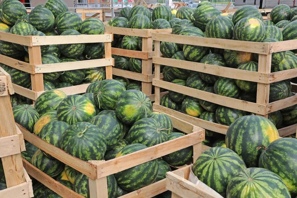 Kisten mit Wassermelonen — Stockfoto