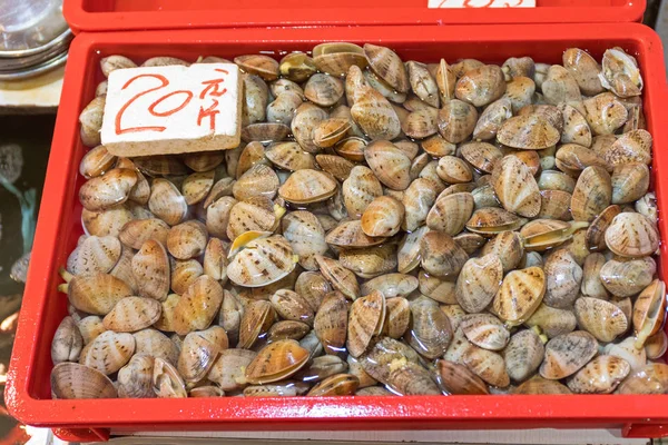 Моллюски — стоковое фото