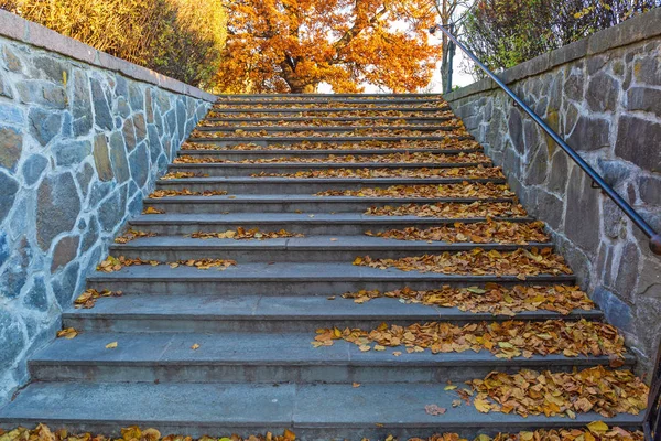 Осенняя лестница — стоковое фото