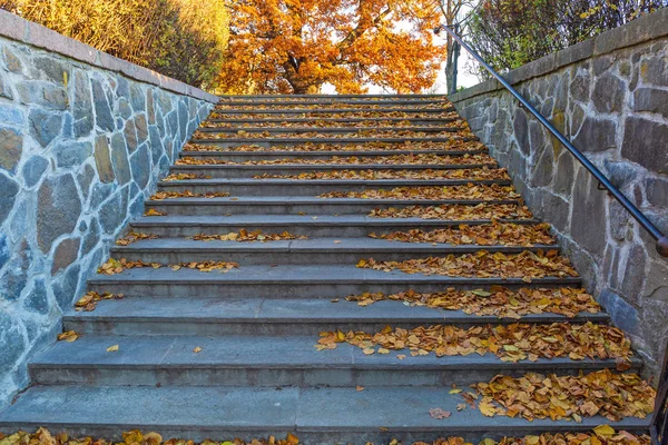 Herfst trap — Stockfoto