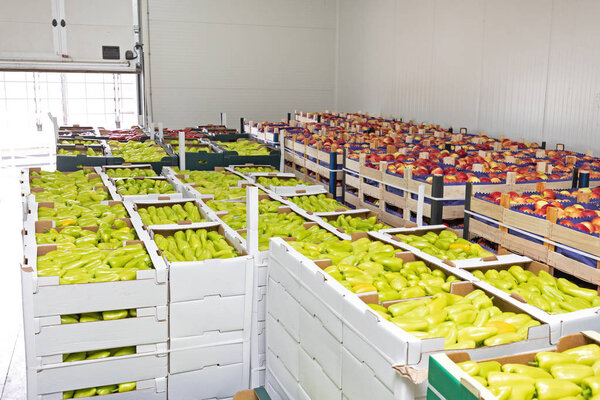 Apples Peppers Boxes