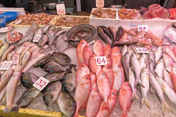 Frischfischmarkt — Stockfoto