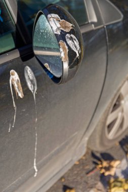 Kuş Dışkısı Arabası