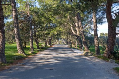 Sığınma Yolu Kaynağı