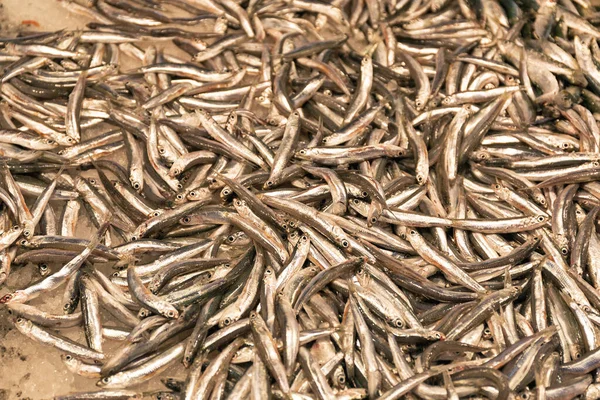 Big Bunch Anchovy Fish Market — Stock Photo, Image