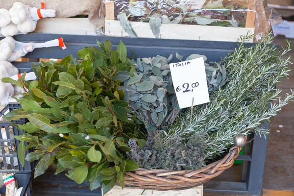 Frische Kräuter Und Gewürze Korb Auf Bauernmarkt — Stockfoto