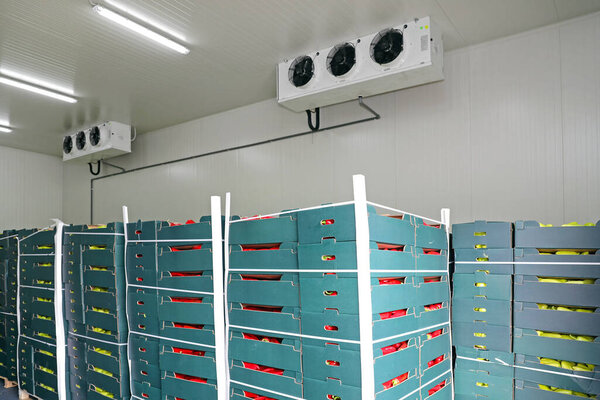 Fruits and Vegetables in Crates at Pallets Storage Warehouse