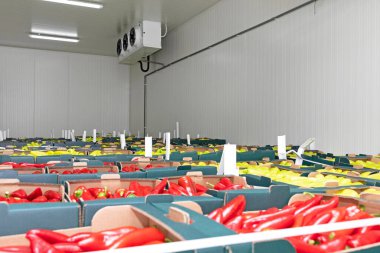 Peppers Vegetables in Boxes in Distribution Warehouse clipart