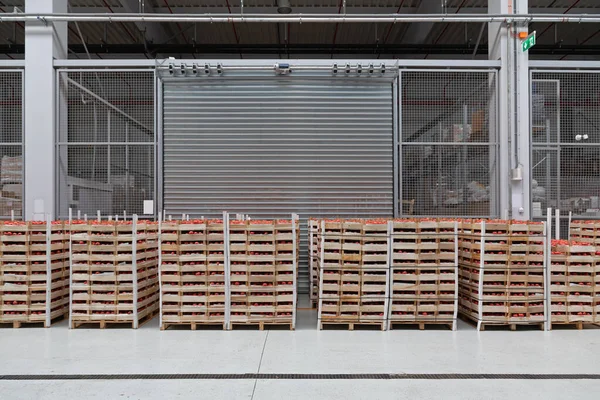Crates Tomato Pallets Warehouse — Stock Photo, Image