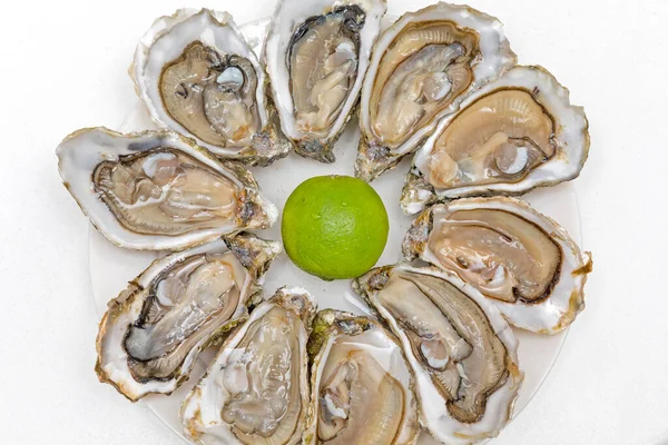 Served Opened Fresh Oysters Seafood Plate — Stock Photo, Image