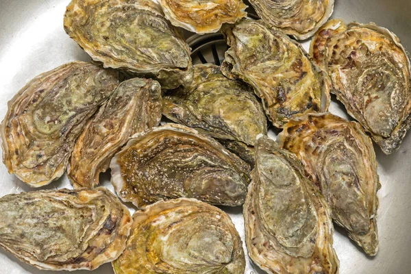 Grote Bunch Van Verse Oesters Zeevruchten — Stockfoto