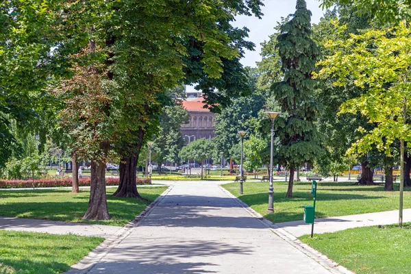 Parque Manjez Belgrado Serbia Summer Sunny Day — Foto de Stock