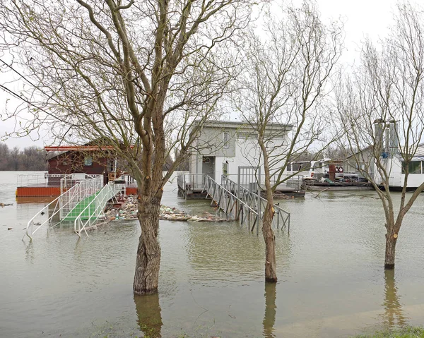 Big Water Floods Danube River Bad Weather — Stock Photo, Image