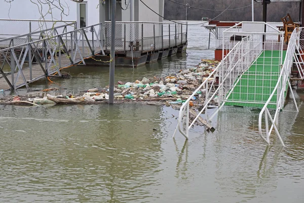 Big Floods Danube River Bad Pollution Debris — Stock Photo, Image