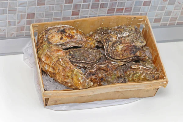 Raw Rock Oysters Seafood Crate Ice — стокове фото