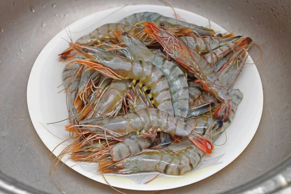 Bunch Big Tiger Prawns Seafood Crustaceans Plate — Stock Photo, Image