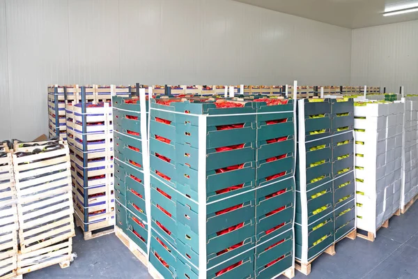 Peppers Vegetables Boxes Distribution Warehouse — Stock Photo, Image