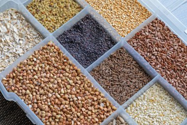 Tohumlar ve Taneler Sağlıklı Gıda Seçimi Çeşitliliği