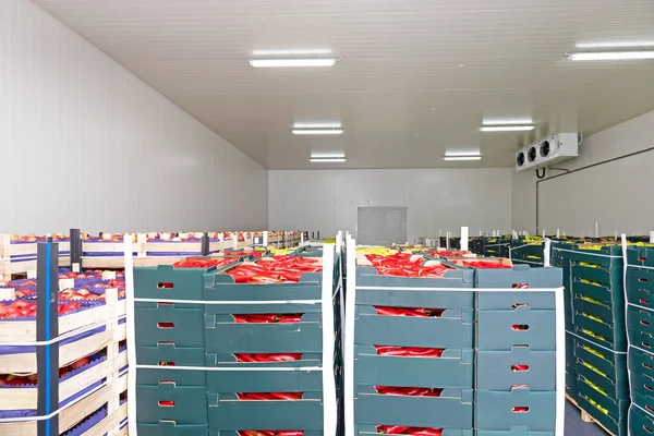 Pimientos Verduras Cajas Almacén Distribución — Foto de Stock