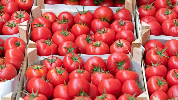 Crates Red Tomatoes Сайті Farmers Market — стокове фото