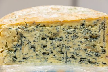 Yarım Tekerlek Mavi Küf Peyniri Fransız Mutfağı