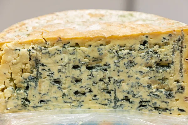 Hälften Wheel Blue Mould Cheese Franska Köket — Stockfoto